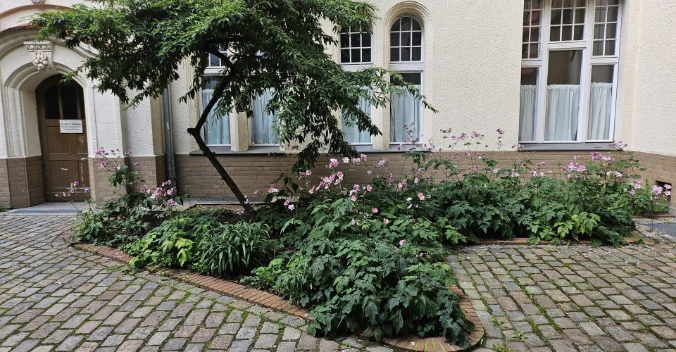 Innenhof der Praxis Schönhauser Allee 129 in Berlin Prenzlauer Berg